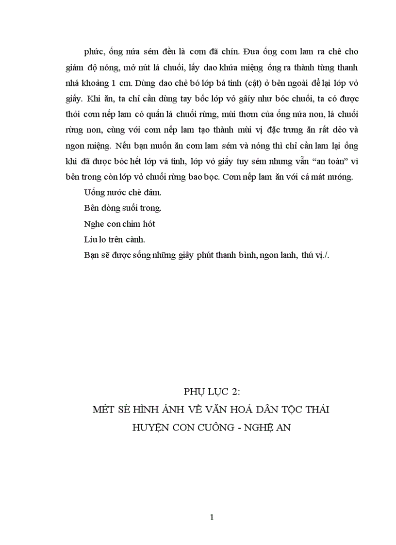 image for page Quản lý Nhà nước trong việc bảo tồn và phát huy bản sắc văn hoá dân tộc Thái ở huyện Con Cuông Nghệ An