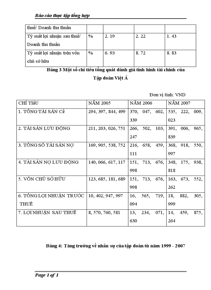 image for page Thực trạng tình hình hoạt động sản xuất kinh doanh của công ty cổ phần tập đoàn đầu tư thương mại công nghiệp việt á