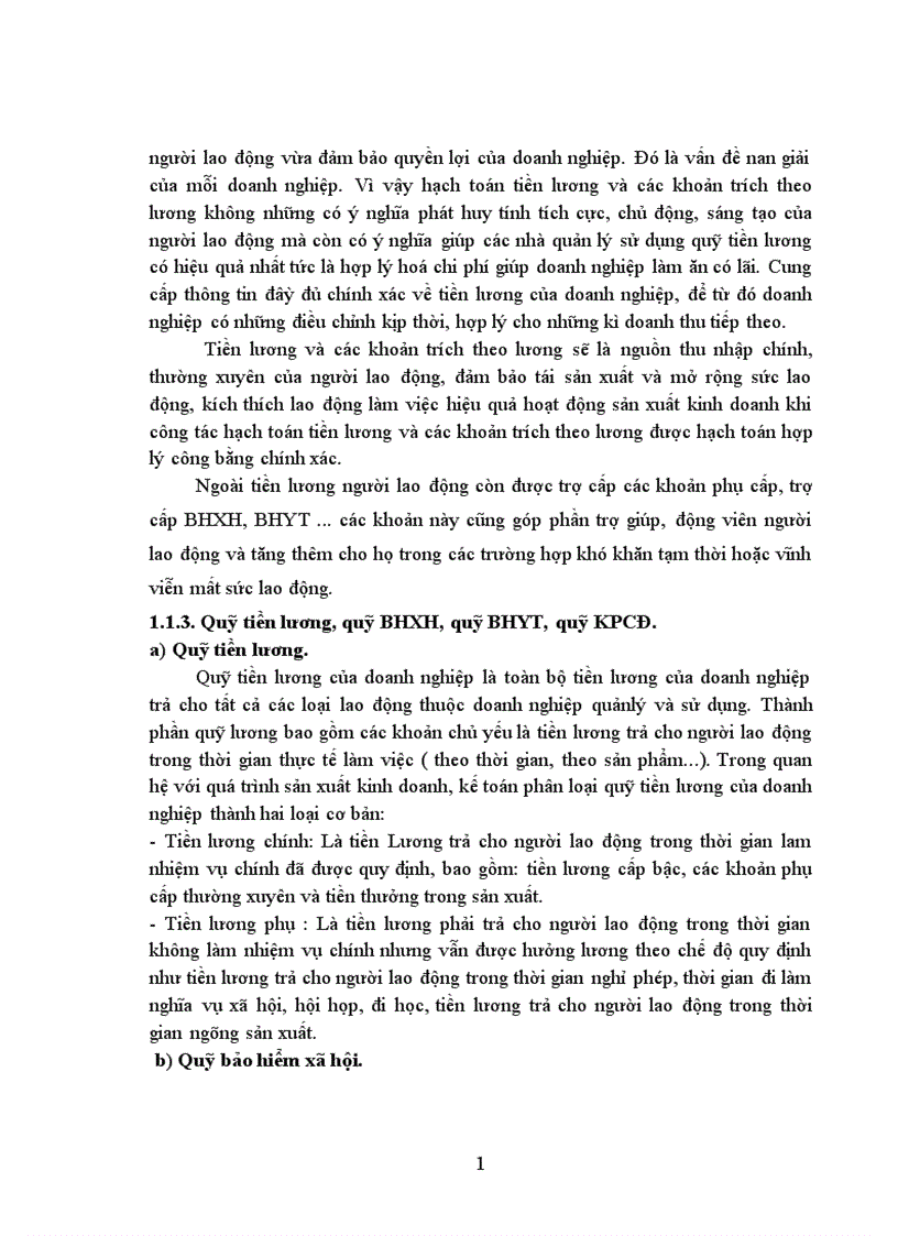 image for page Kế toan tiền lương và các khoản trích theo lương tại Công ty trách nhiệm hữu hạn Tân Trường Thành 1