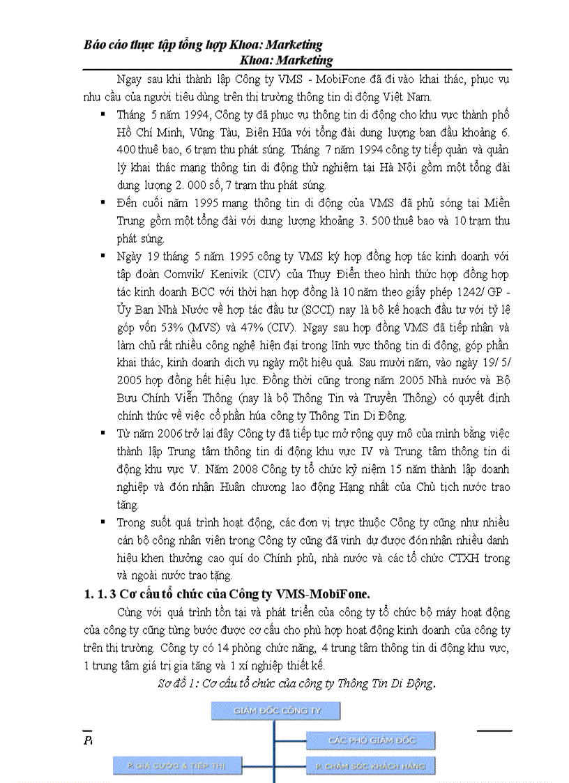 image for page ĐIều kiện và thực trạng hoạt động của công ty thông ti di động vms mobifone