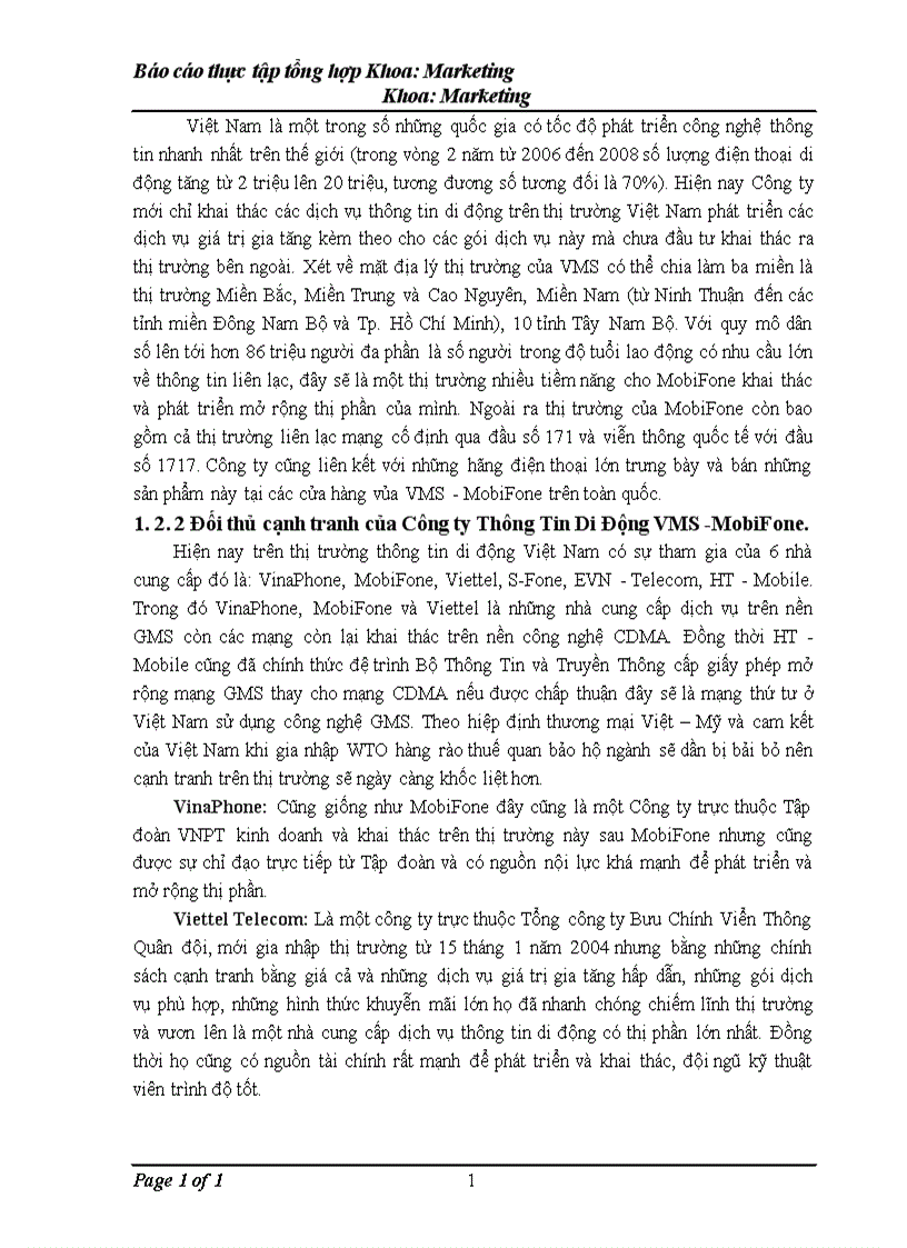 image for page ĐIều kiện và thực trạng hoạt động của công ty thông ti di động vms mobifone