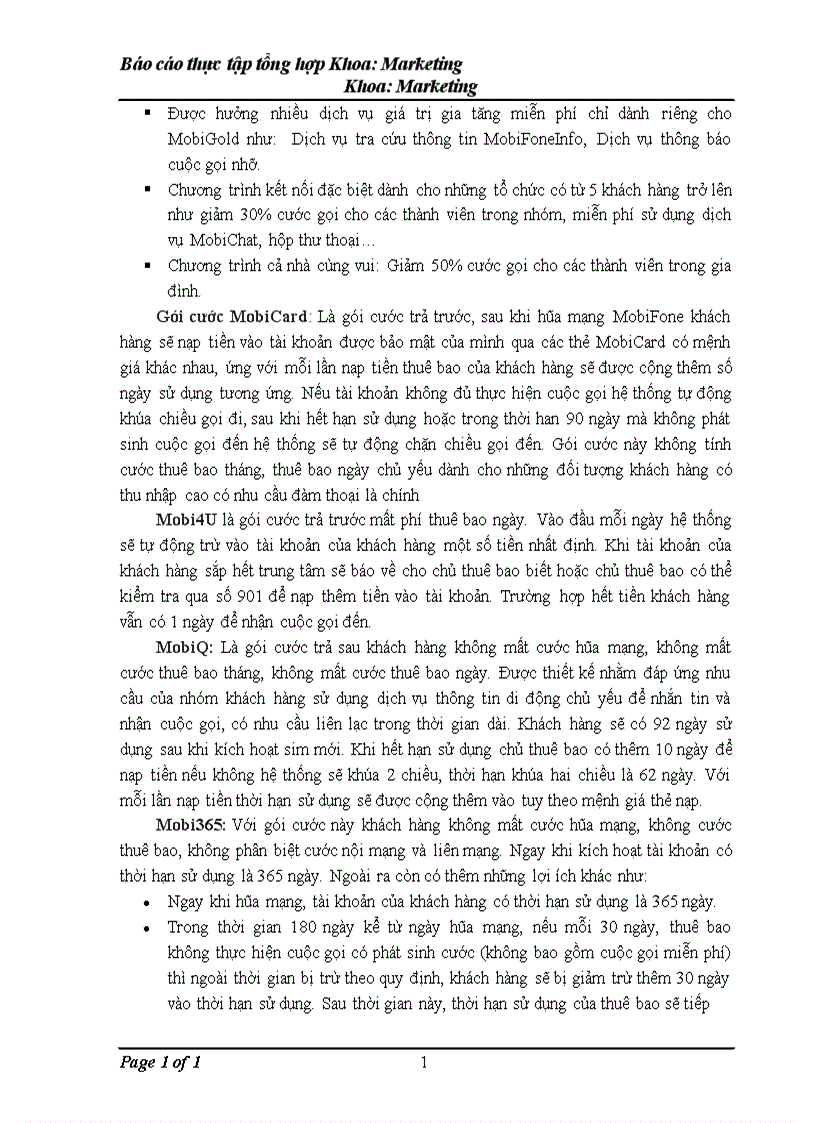 image for page ĐIều kiện và thực trạng hoạt động của công ty thông ti di động vms mobifone