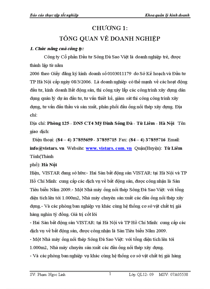 image for page Báo cáo tổng hợp về Công ty Cổ phần Đầu tư Sông Đà Sao Việt