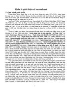 Định hướng chiến lược của Sacombank