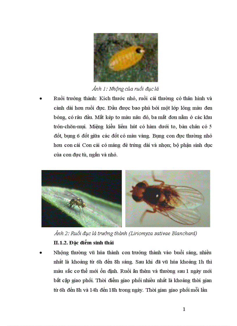 image for page Nghiên cứu tính mẫn cảm với một số tts của ấu trùng ruồi đục lá liriomyza sativae blanchard ở ba quần thể song phương Hà Nội An Bình và Đình Tổ Bắc Ninh 1