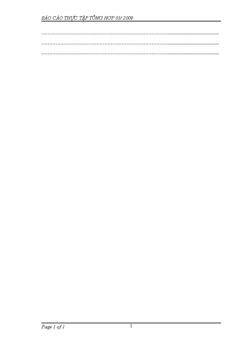 image for page Báo cáo thực tập tổng hợp về Công ty cổ phần Đầu tư Thương Mại và Bất Động Sản Tân Việt 1