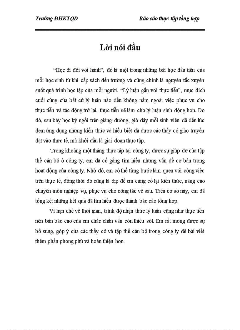 image for page báo cáo thực tập tổng hợp Công ty cổ phần thương mại và dịch vụ DSL 1