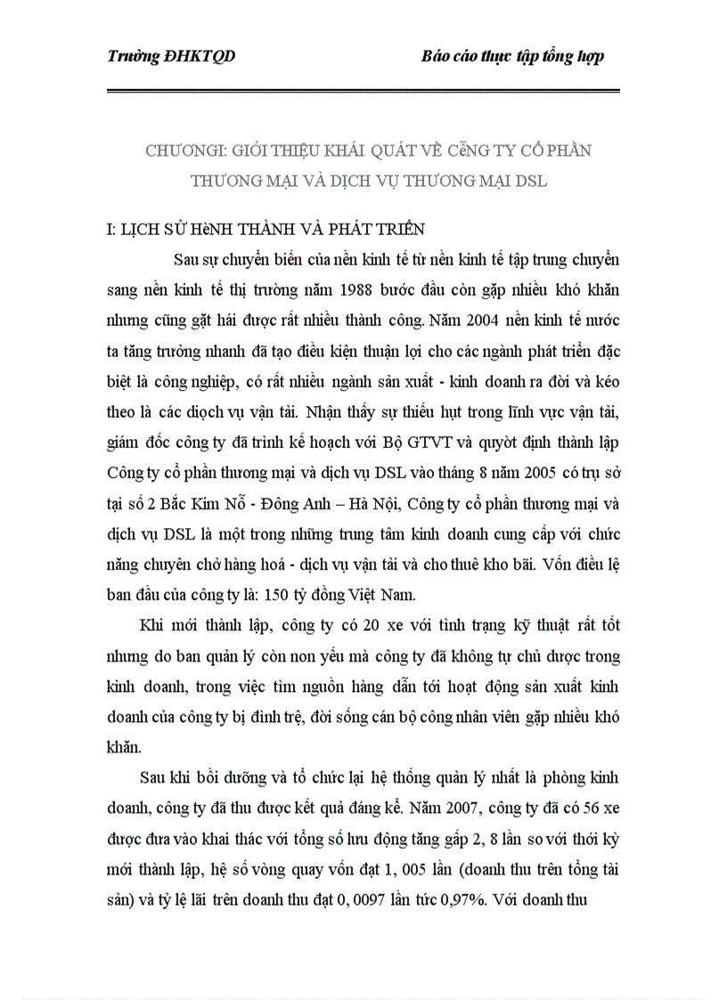 image for page báo cáo thực tập tổng hợp Công ty cổ phần thương mại và dịch vụ DSL 1