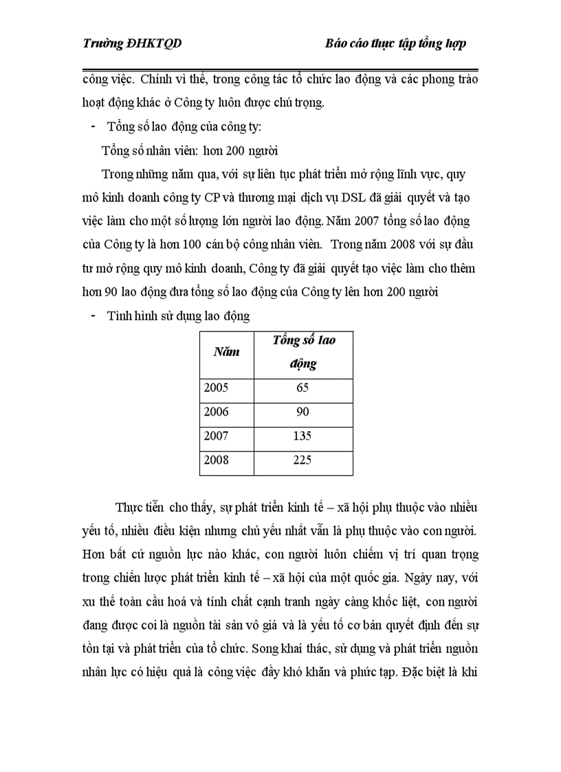 image for page báo cáo thực tập tổng hợp Công ty cổ phần thương mại và dịch vụ DSL 1