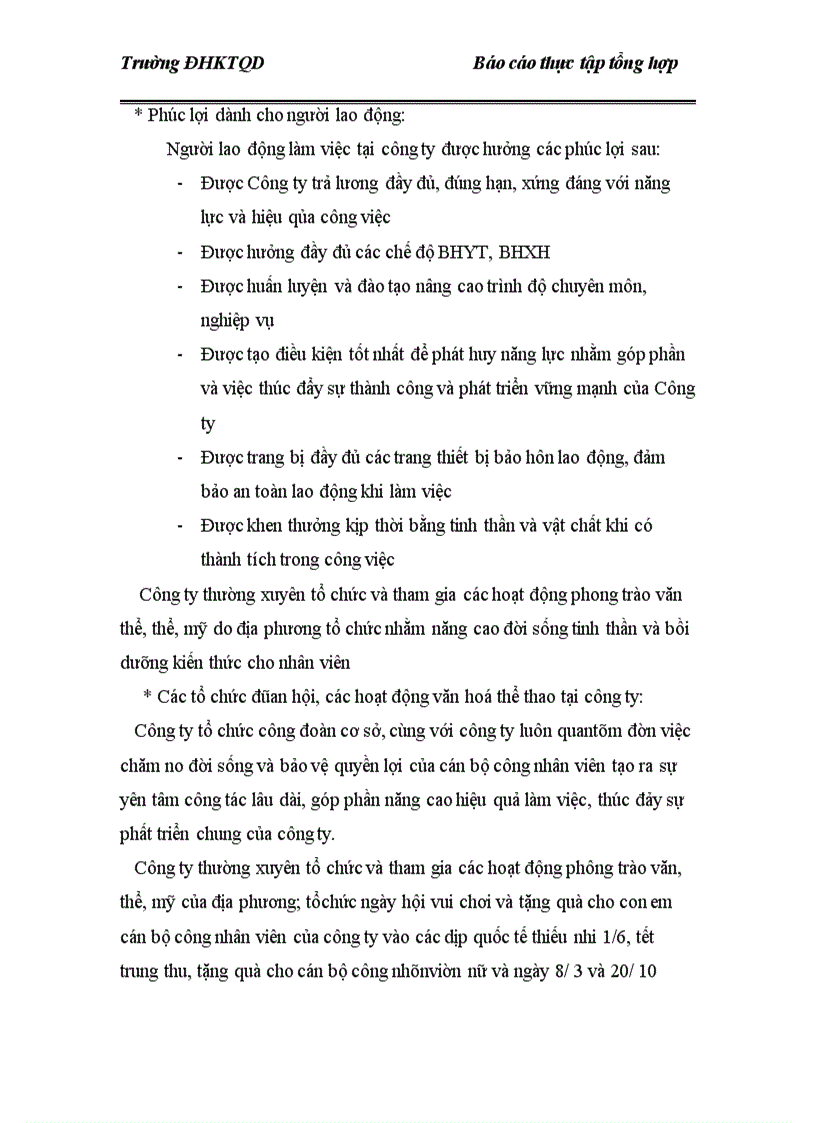 image for page báo cáo thực tập tổng hợp Công ty cổ phần thương mại và dịch vụ DSL 1