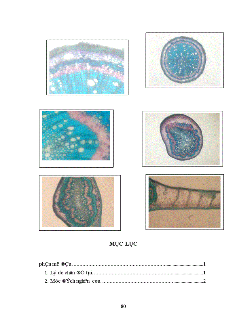 image for page Nghiên cứu ảnh hưởng của một số nhân tố sinh thái tới năng suất và chất lượng của cây vải thiều litchichinensis Sonn 1