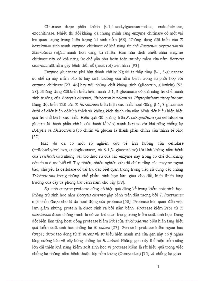 image for page Nghiên cứu khả năng đối kháng và tiềm năng ứng dụng của một số chủng Trichoderma phân lập từ RNM trên một số nấm bệnh thực vật 1