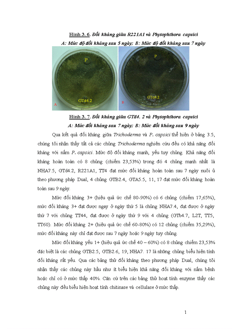 image for page Nghiên cứu khả năng đối kháng và tiềm năng ứng dụng của một số chủng Trichoderma phân lập từ RNM trên một số nấm bệnh thực vật 1