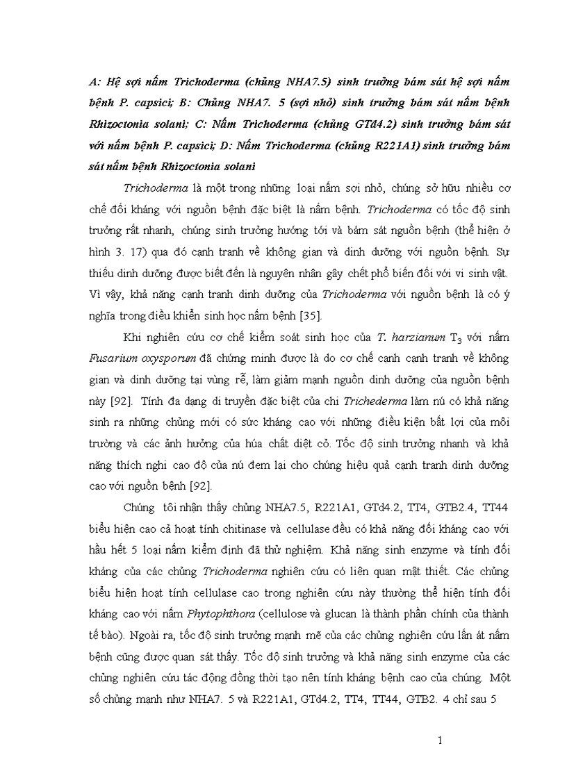 image for page Nghiên cứu khả năng đối kháng và tiềm năng ứng dụng của một số chủng Trichoderma phân lập từ RNM trên một số nấm bệnh thực vật 1