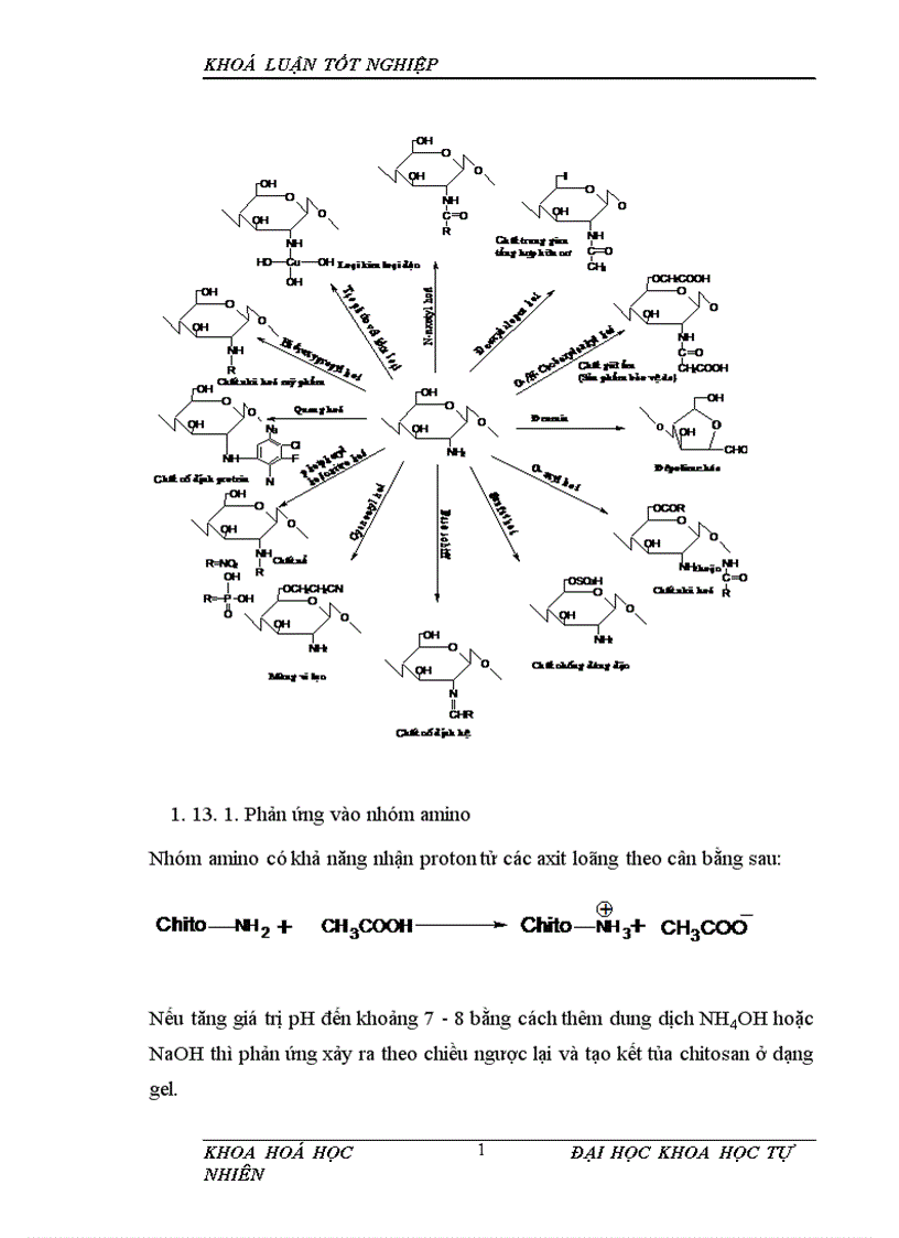 image for page Nghiên cứu phản ứng thuỷ phân chitosan bằng một số axít hữu cơ 1