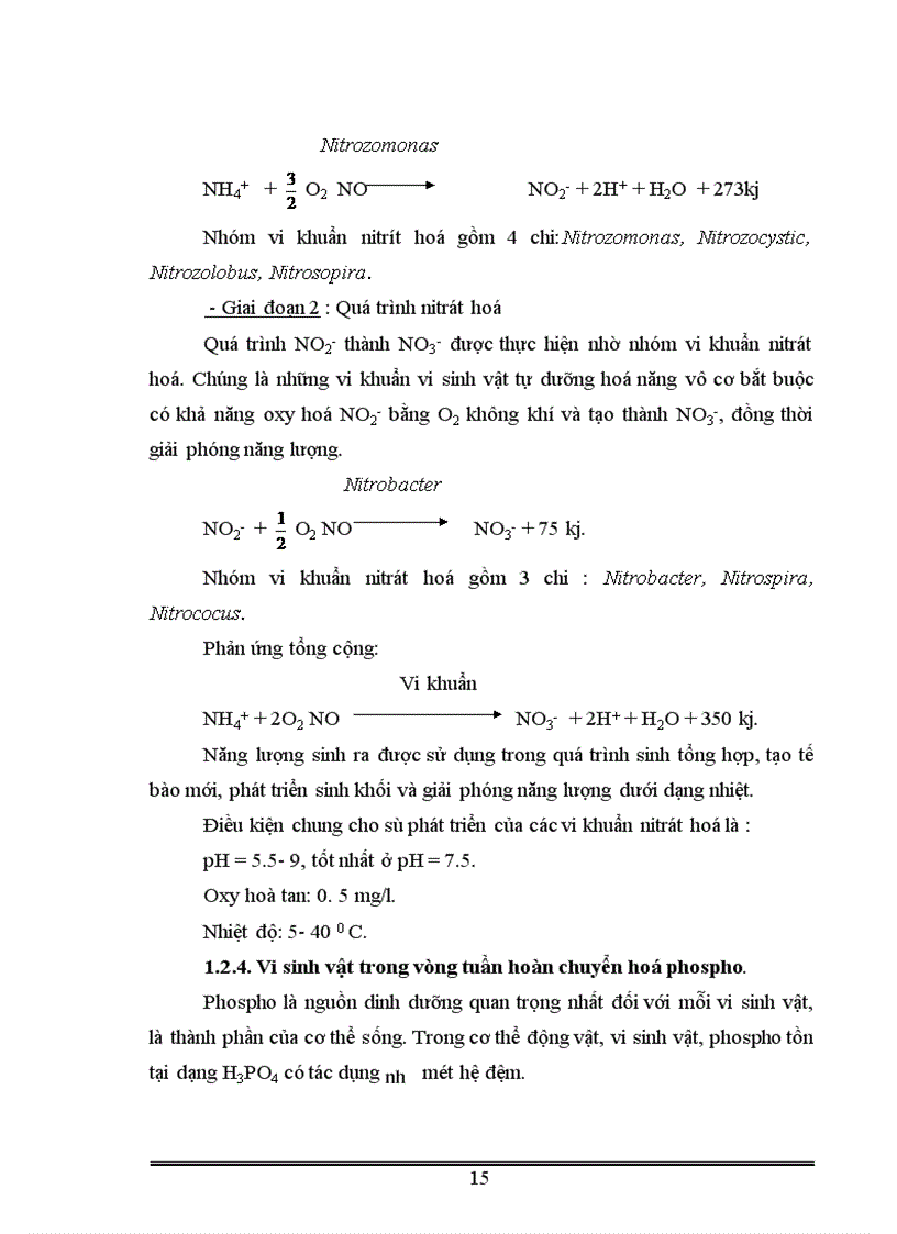 image for page Phân lập tuyển chọn và ứng dụng một số vi khuẩn có khả năng phân giải xenlulo góp phần xử lý rác thải sinh hoạt 1