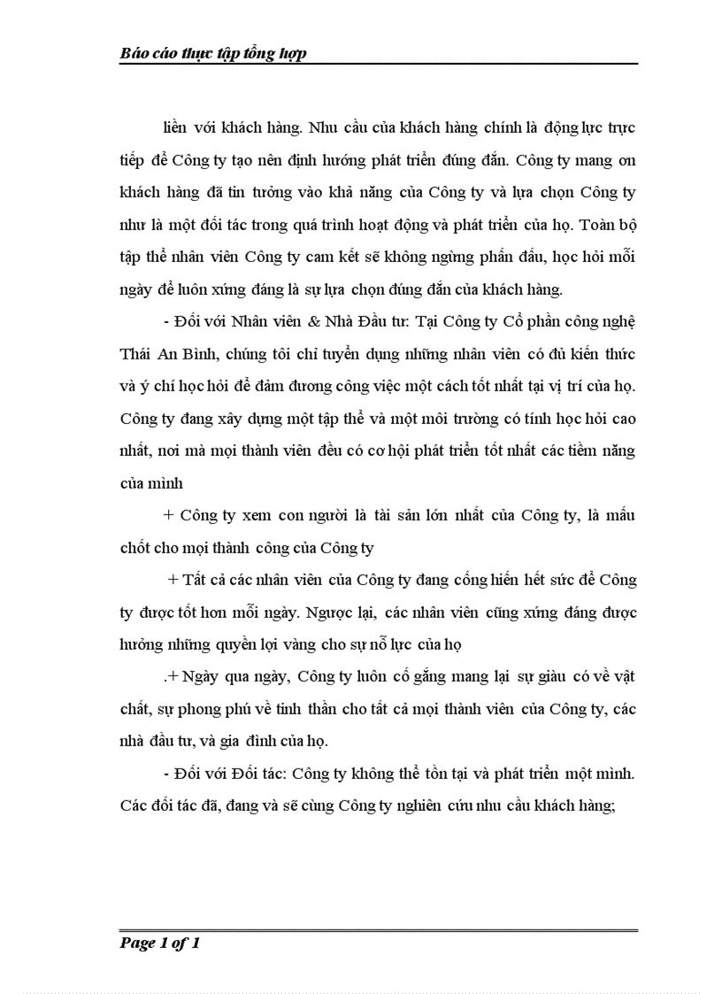 image for page báo cáo thực tập tổng hợp công ty cổ phần công nghệ thái an bình