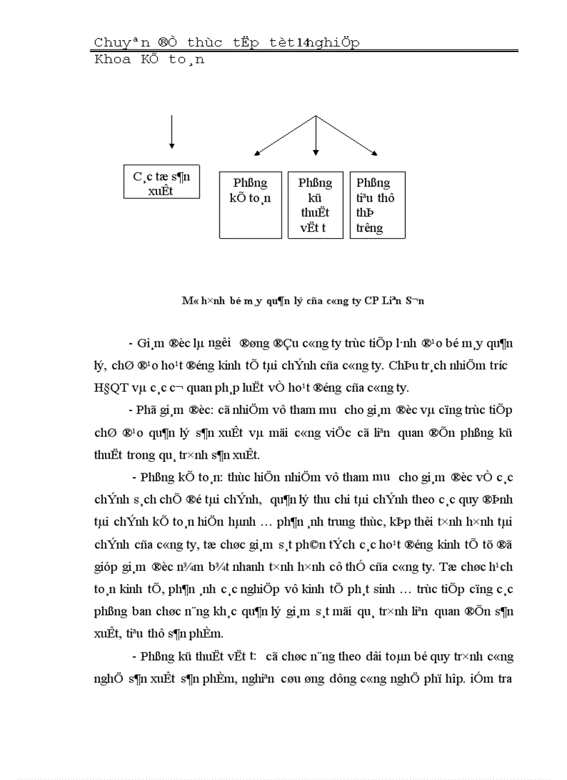 image for page Đặc điểm tổ chức công tác kế toán các phần hành kế toán chủ yếu tại Công ty Cổ Phần Liên Sơn Lào Cai 1