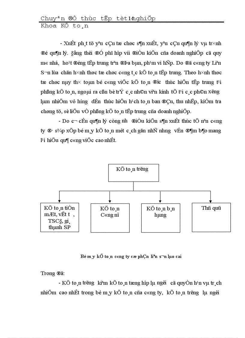 image for page Đặc điểm tổ chức công tác kế toán các phần hành kế toán chủ yếu tại Công ty Cổ Phần Liên Sơn Lào Cai 1