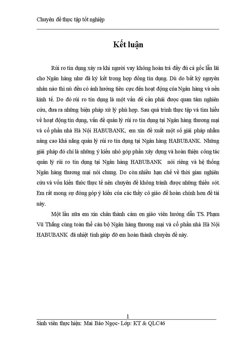 image for page Một số giải pháp quản lý rủi ro tín dụng ở Ngân hàng thương mại và cổ phần nhà Hà Nội HABUBANK 1