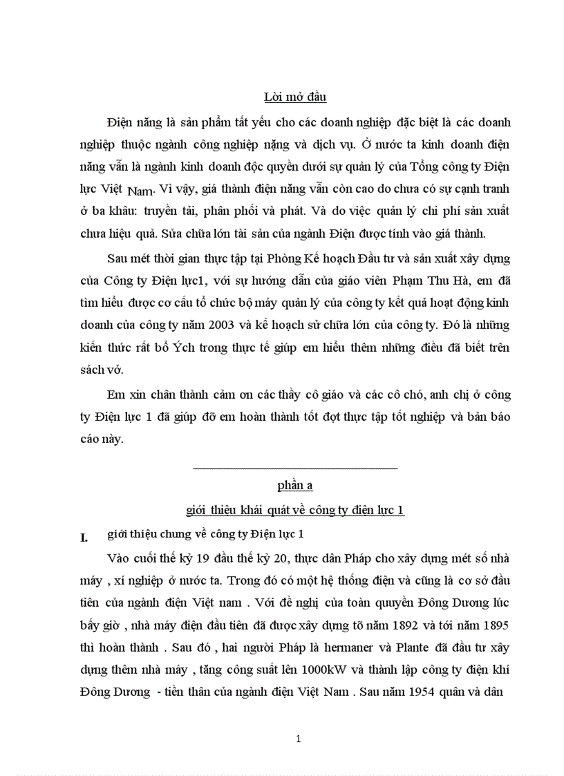 báo cáo thực tập tổng hợp về công ty Điện lực 1