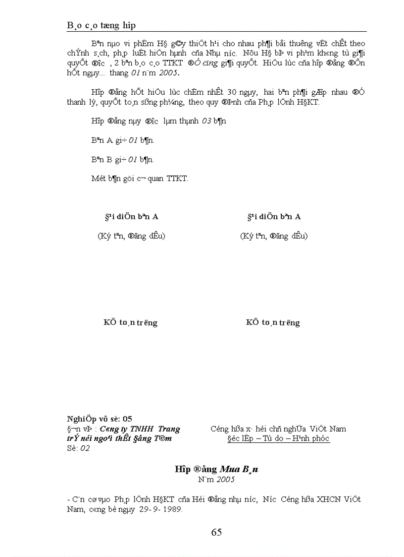 image for page Báo cáo tổng hợp kế toán tại Công ty TNHH Trang trí nội ngoại thất Đồng Tâm