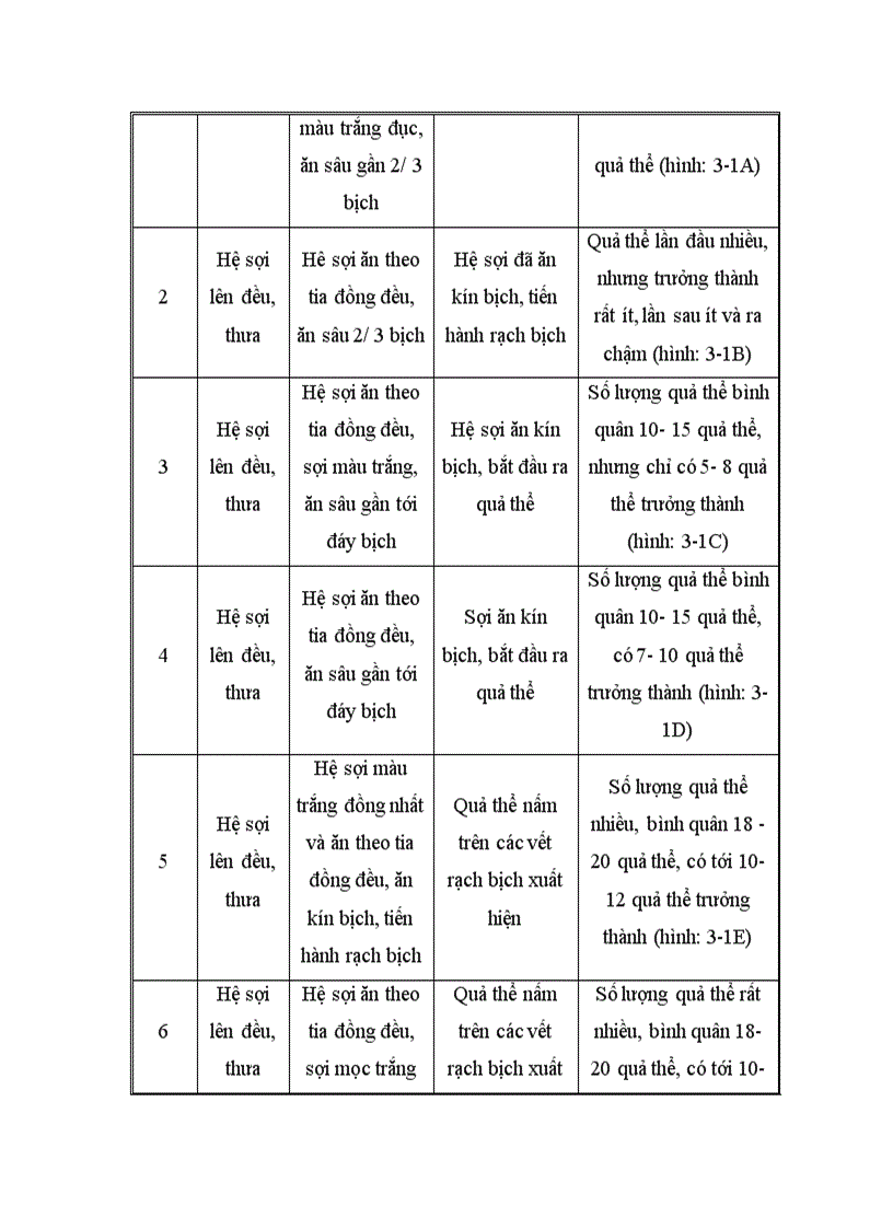 image for page Nghiên cứu hoàn thiện quy trình sử dụng bã sắn trước và sau lên men thu enzyme để nuôi trồng nấm ăn và nấm dược liệu 1