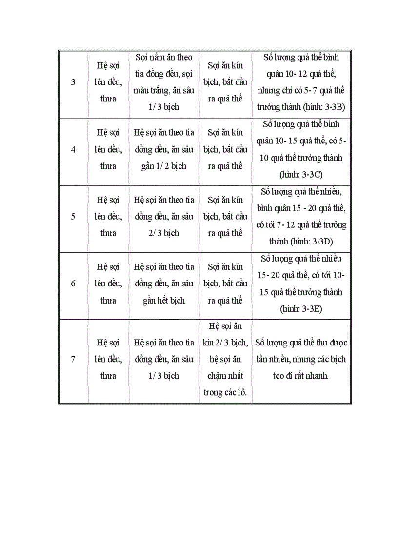 image for page Nghiên cứu hoàn thiện quy trình sử dụng bã sắn trước và sau lên men thu enzyme để nuôi trồng nấm ăn và nấm dược liệu 1