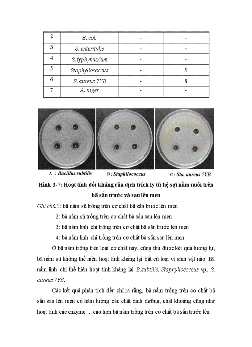 image for page Nghiên cứu hoàn thiện quy trình sử dụng bã sắn trước và sau lên men thu enzyme để nuôi trồng nấm ăn và nấm dược liệu 1