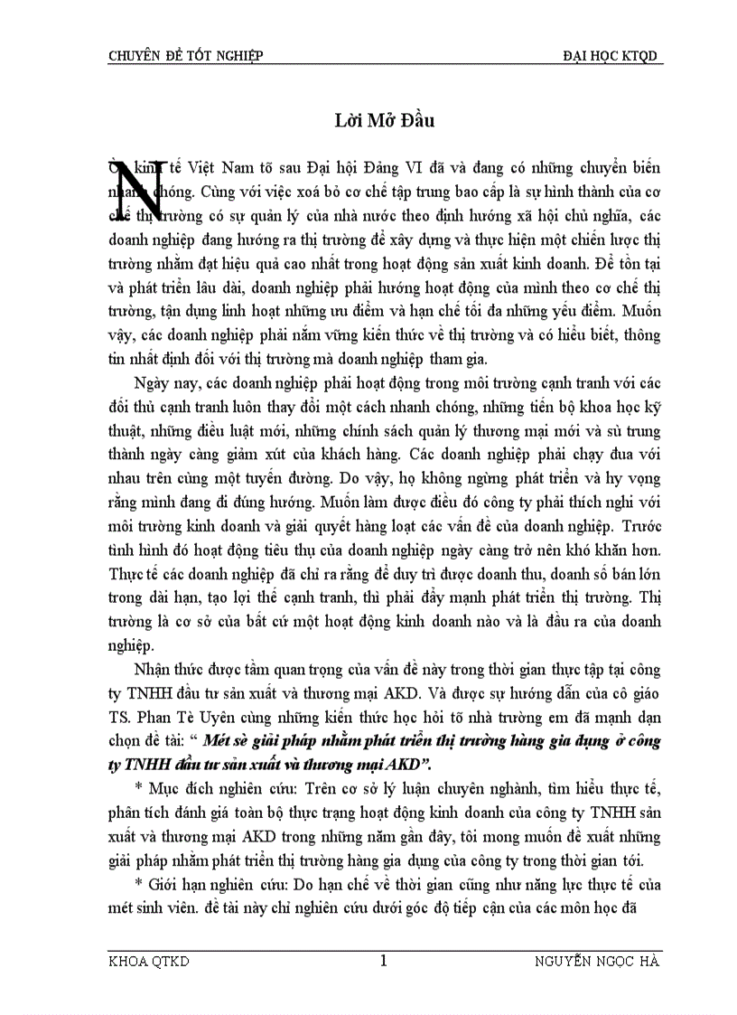 image for page Một số giải pháp nhằm phát triển thị trường hàng gia dụng ở công ty TNHH đầu tư sản xuất và thương mại AKD 1
