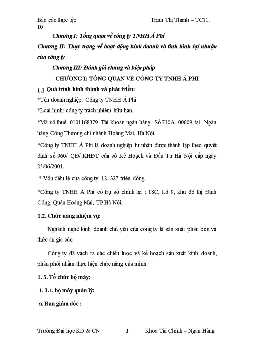 image for page Thực trạng về hoạt động kinh doanh và tình hình lợi nhuận của công ty TNHH á Phi 1