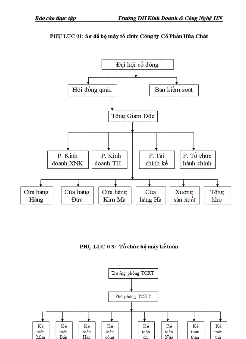 image for page Báo cáo thực tập tại Công ty CP Hoá Chất