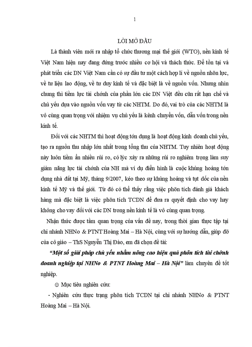 image for page Một số giải pháp chủ yếu nhằm nâng cao hiệu quả phân tích tài chính doanh nghiệp tại NHNo PTNT Hoàng Mai Hà Nội