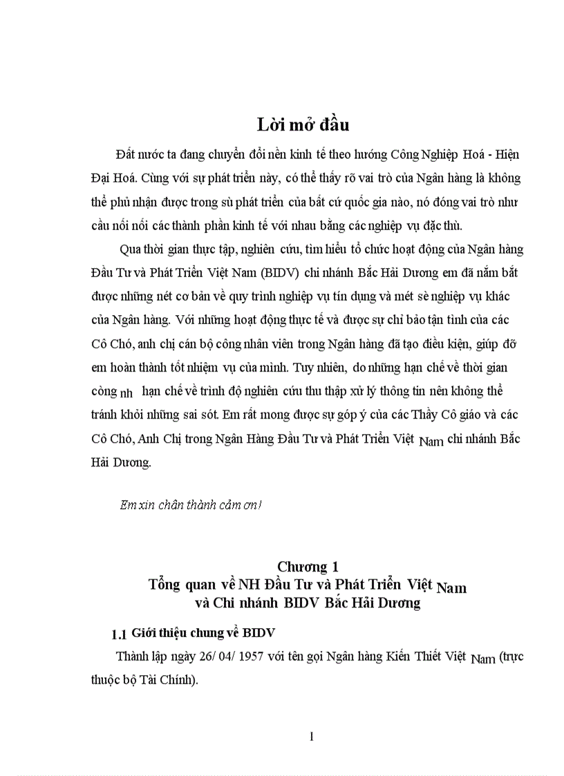 image for page Tình hình hoạt động kinh doanh của ngân hàng Đầu Tư và Phát Triển Việt Nam và Chi nhánh BIDV Bắc Hải Dương