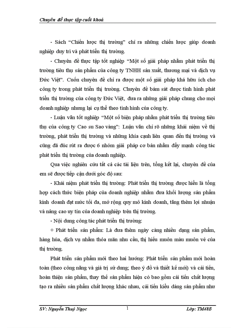 image for page Một số giải pháp nhằm phát triển thị trường tiêu thụ sản phẩm của công ty TNHH sản xuất thương mại và dịch vụ Đức Việt 1