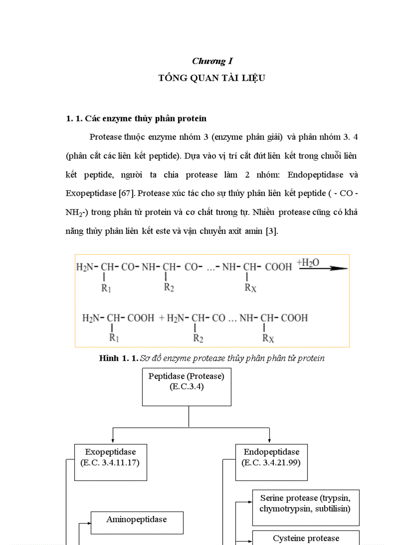 image for page Tuyển chọn chủng Bacillus từ rừng ngập mặn sinh mạnh protease kiềm và bước đầu định hướng ứng dụng 1