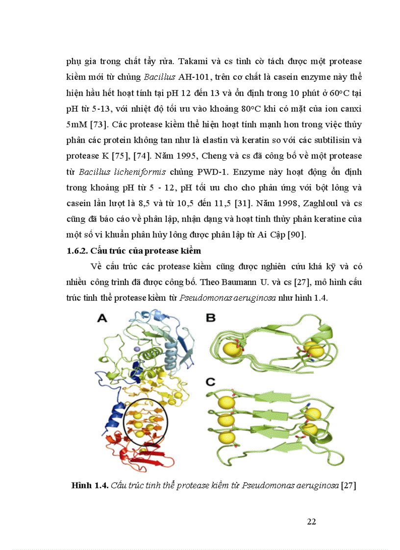 image for page Tuyển chọn chủng Bacillus từ rừng ngập mặn sinh mạnh protease kiềm và bước đầu định hướng ứng dụng 1