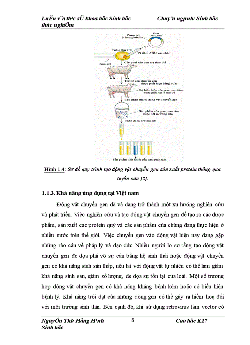 image for page Thử nghiệm chuyển gen GFP trên gà Gallus Gallus Domesticus sử dụng vector pT2 BH CVpf SB11 bằng phương pháp chuyển gen qua tinh trùng và vi tiêm vào phôi gà 0 giờ ấp 1