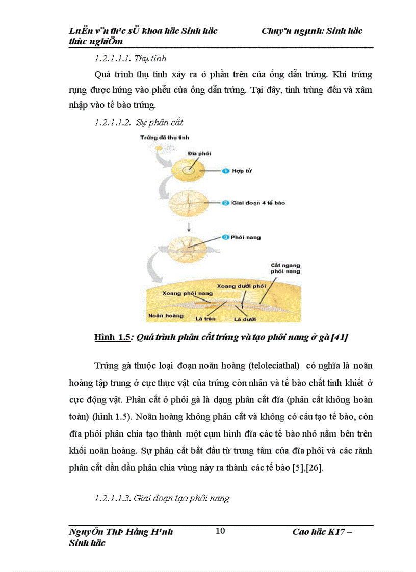 image for page Thử nghiệm chuyển gen GFP trên gà Gallus Gallus Domesticus sử dụng vector pT2 BH CVpf SB11 bằng phương pháp chuyển gen qua tinh trùng và vi tiêm vào phôi gà 0 giờ ấp 1