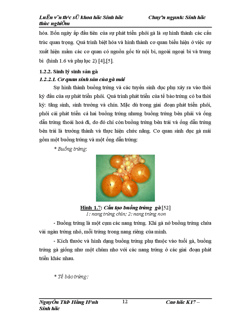 image for page Thử nghiệm chuyển gen GFP trên gà Gallus Gallus Domesticus sử dụng vector pT2 BH CVpf SB11 bằng phương pháp chuyển gen qua tinh trùng và vi tiêm vào phôi gà 0 giờ ấp 1