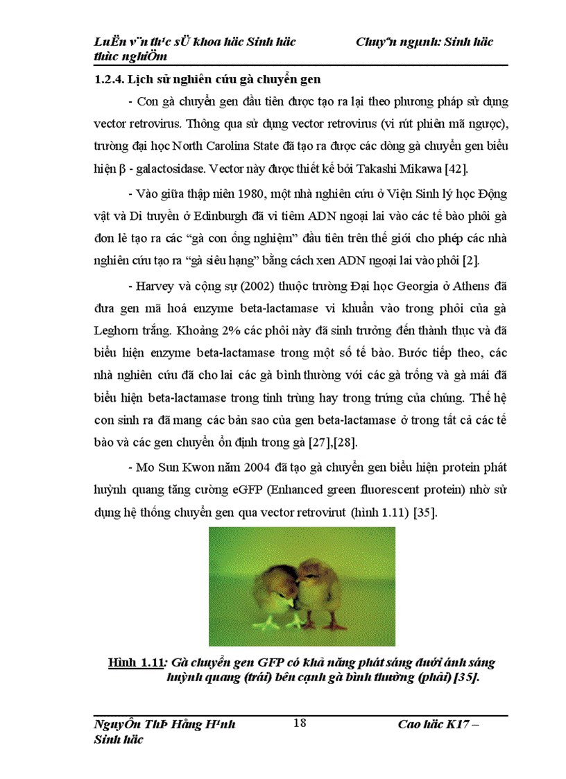 image for page Thử nghiệm chuyển gen GFP trên gà Gallus Gallus Domesticus sử dụng vector pT2 BH CVpf SB11 bằng phương pháp chuyển gen qua tinh trùng và vi tiêm vào phôi gà 0 giờ ấp 1