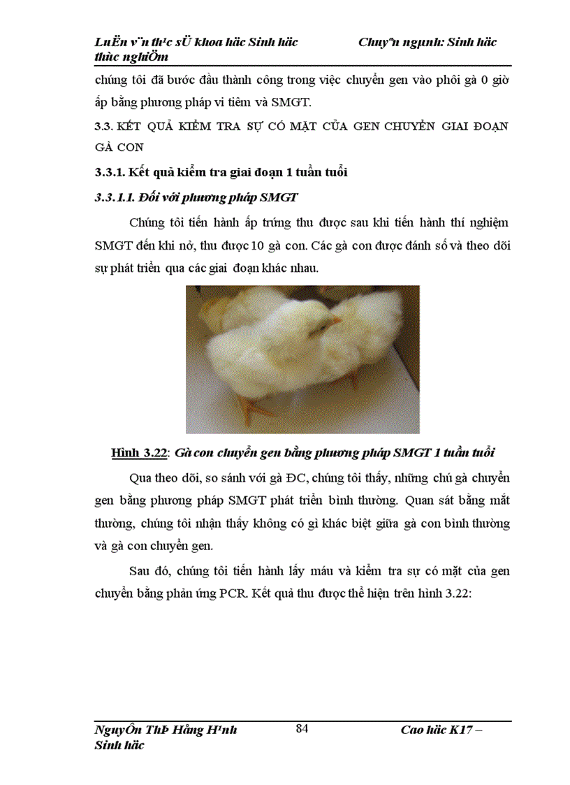 image for page Thử nghiệm chuyển gen GFP trên gà Gallus Gallus Domesticus sử dụng vector pT2 BH CVpf SB11 bằng phương pháp chuyển gen qua tinh trùng và vi tiêm vào phôi gà 0 giờ ấp 1