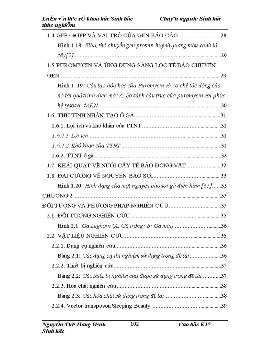 image for page Thử nghiệm chuyển gen GFP trên gà Gallus Gallus Domesticus sử dụng vector pT2 BH CVpf SB11 bằng phương pháp chuyển gen qua tinh trùng và vi tiêm vào phôi gà 0 giờ ấp 1