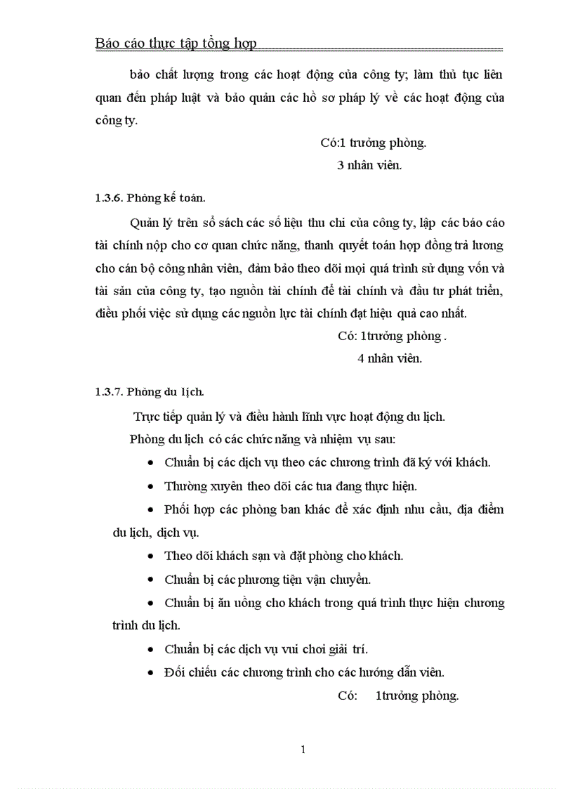image for page Báo cáo thực tập tại Công ty cổ phần Phát triển Thương mại và Du lịch quốc tế Ngôi Sao