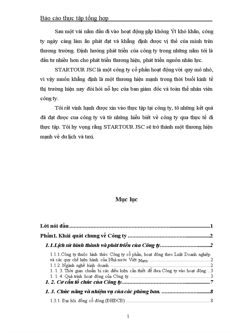 image for page Báo cáo thực tập tại Công ty cổ phần Phát triển Thương mại và Du lịch quốc tế Ngôi Sao