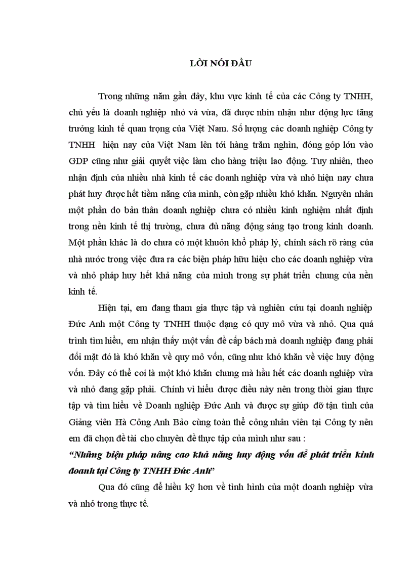 image for page Những biện pháp nâng cao khả năng huy động vốn để phát triển kinh doanh tại Công ty TNHH Đức Anh 1