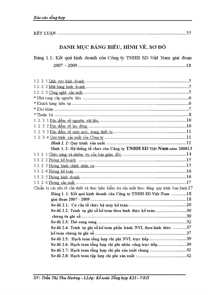 image for page Báo cáo kế toán tổng hợp tại Công ty TNHH SD Việt Nam 1