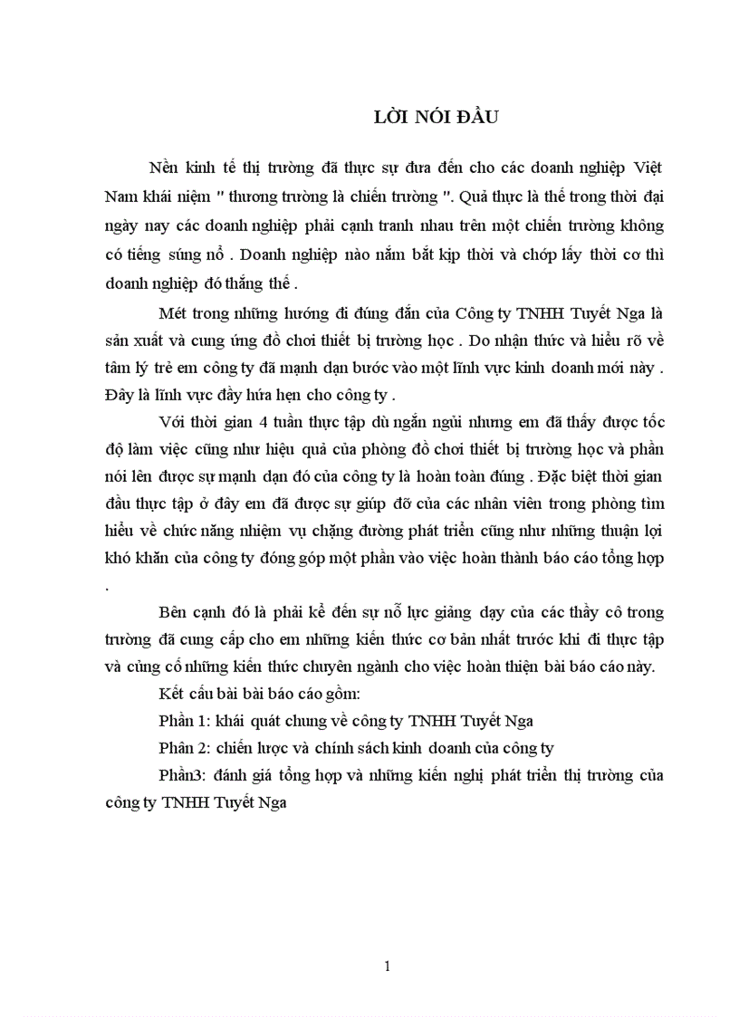 image for page Báo cáo thực tập tổng hợp tại công ty TNHH Tuyết Nga