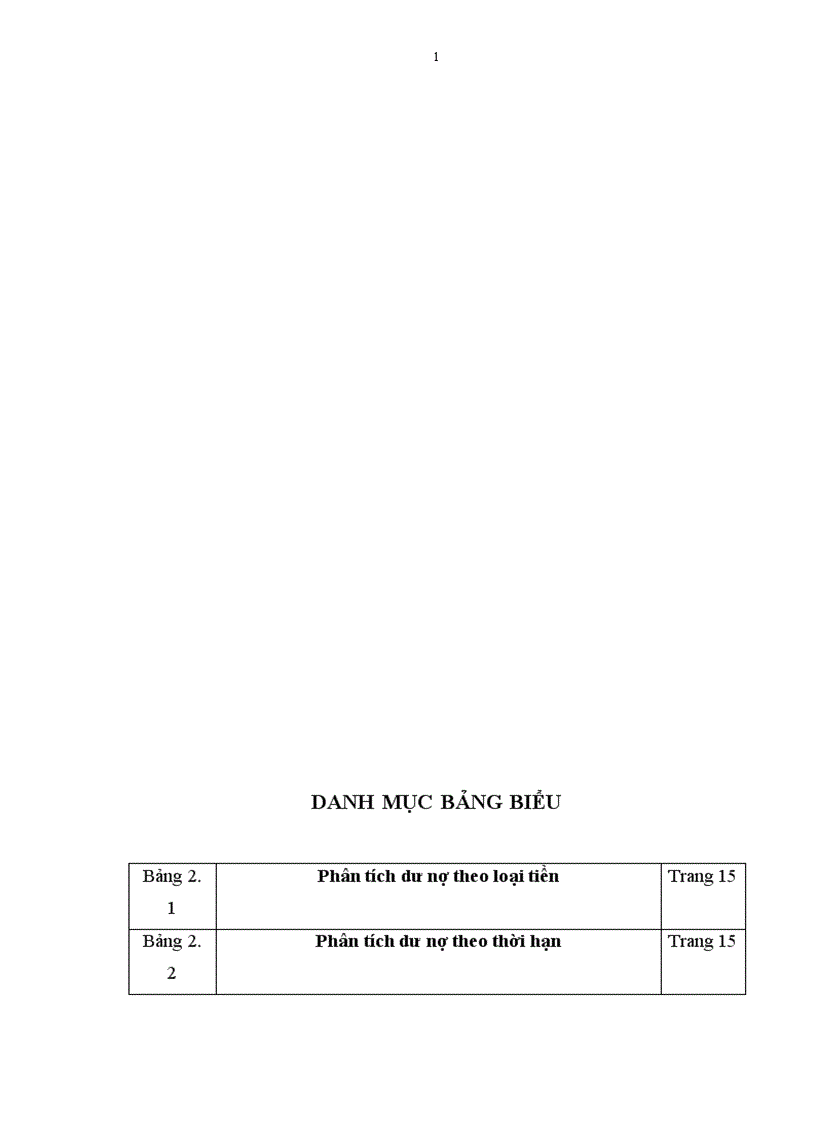 image for page Một số giải pháp nhằm nâng cao chất lượng phân tích tài chính doanh nghiệp trong hoạt động Tín dụng tại Chi nhánh NHNo PTNT Nam Hà Nội 1