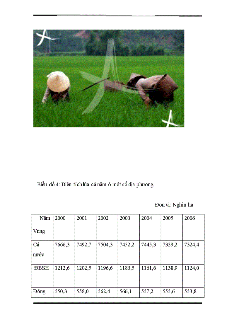 image for page Một số vấn đề về phát triển SX trồng trọt theo hướng SX hàng hóa ở nước ta hiện nay